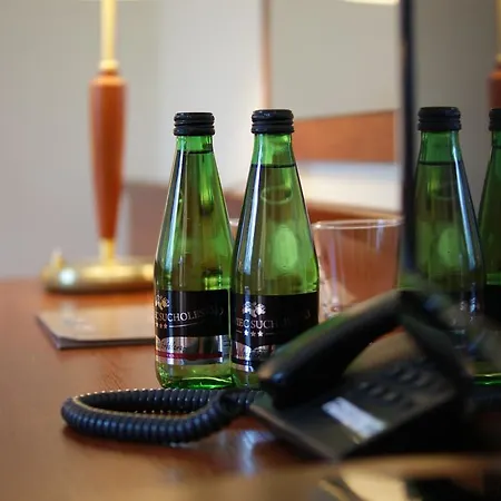 Gosciniec Sucholeski ホテル スヒ・ラス