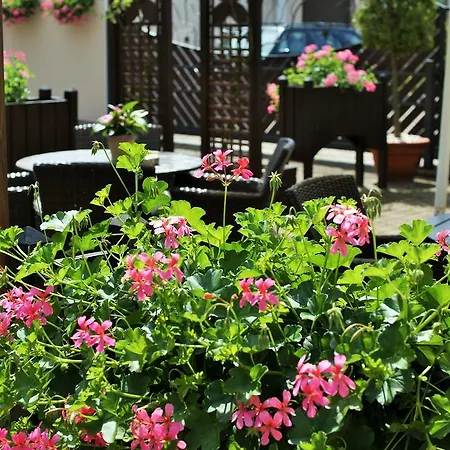 Gosciniec Sucholeski Отель Сухы-Ляс