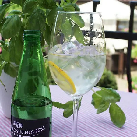 Gosciniec Sucholeski