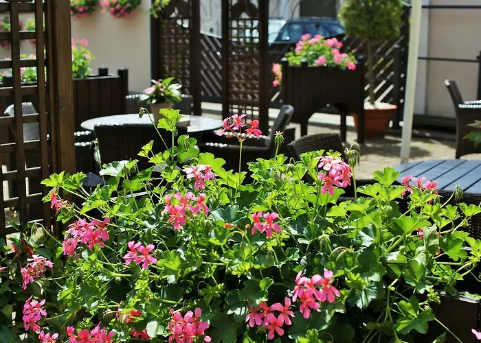 Gosciniec Sucholeski Hotel Suchy Las